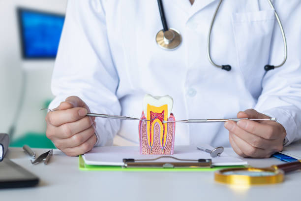 Best Emergency Treatment for Toothache in Mmaduke, AR